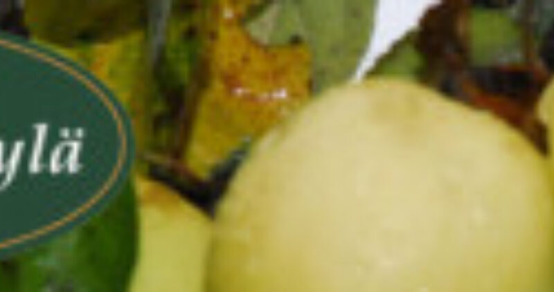 Teijon Alueen Kyläyhdistyksen toiminta- ja kehityskysely