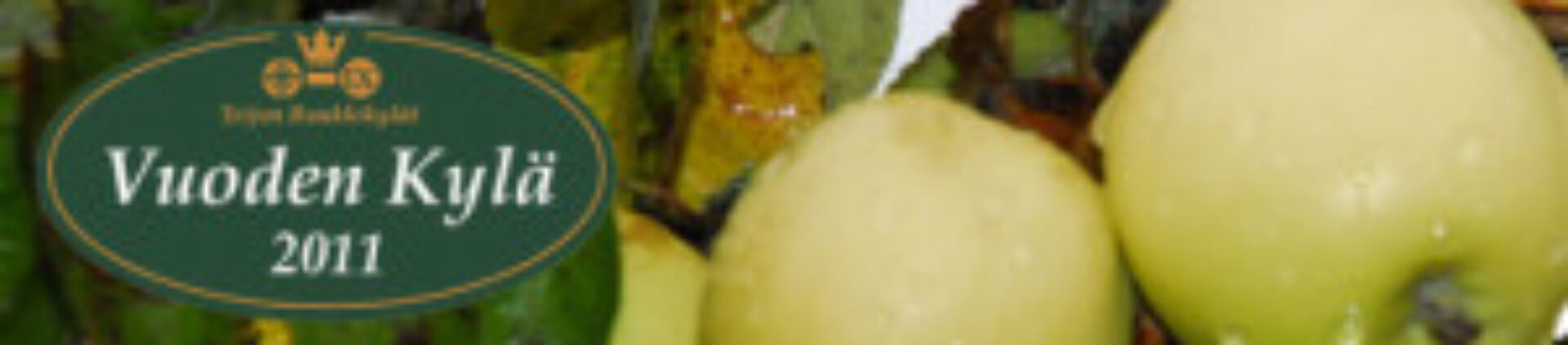 Teijon Alueen Kyläyhdistyksen toiminta- ja kehityskysely