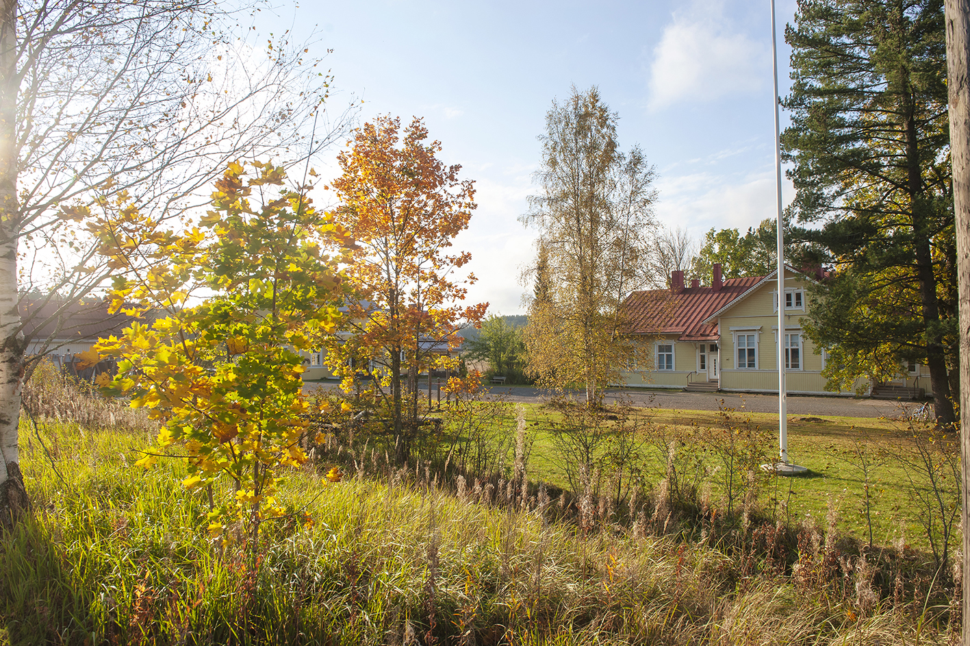 Poikkeusvuoden Teijo+